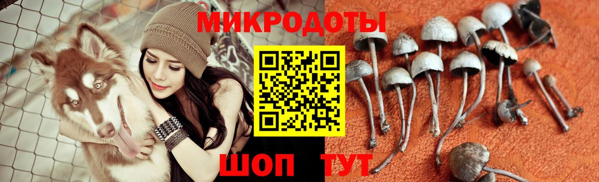 Камень-на-Оби  Галлюциногенные грибы Psilocybine cubensis  Галлюциногенные грибы ЛСД  Вход с VPN 